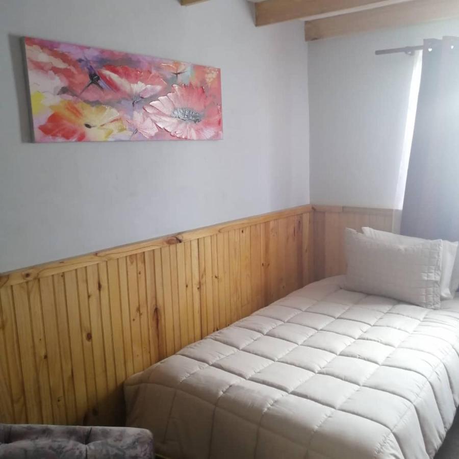 Hostal Y Cabanas Vientos Del Sur Puerto Ingeniero Ibanez Extérieur photo